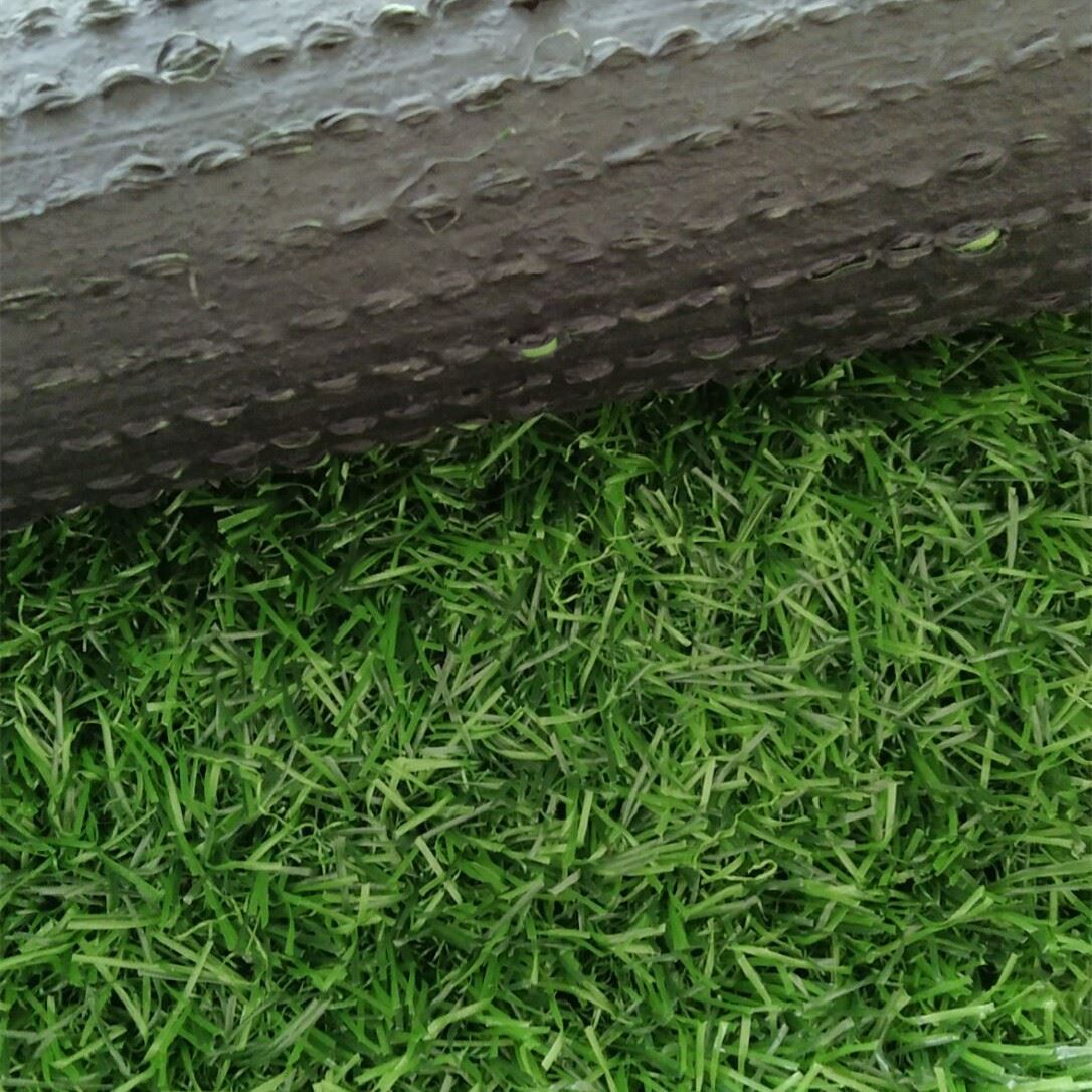 1430grass